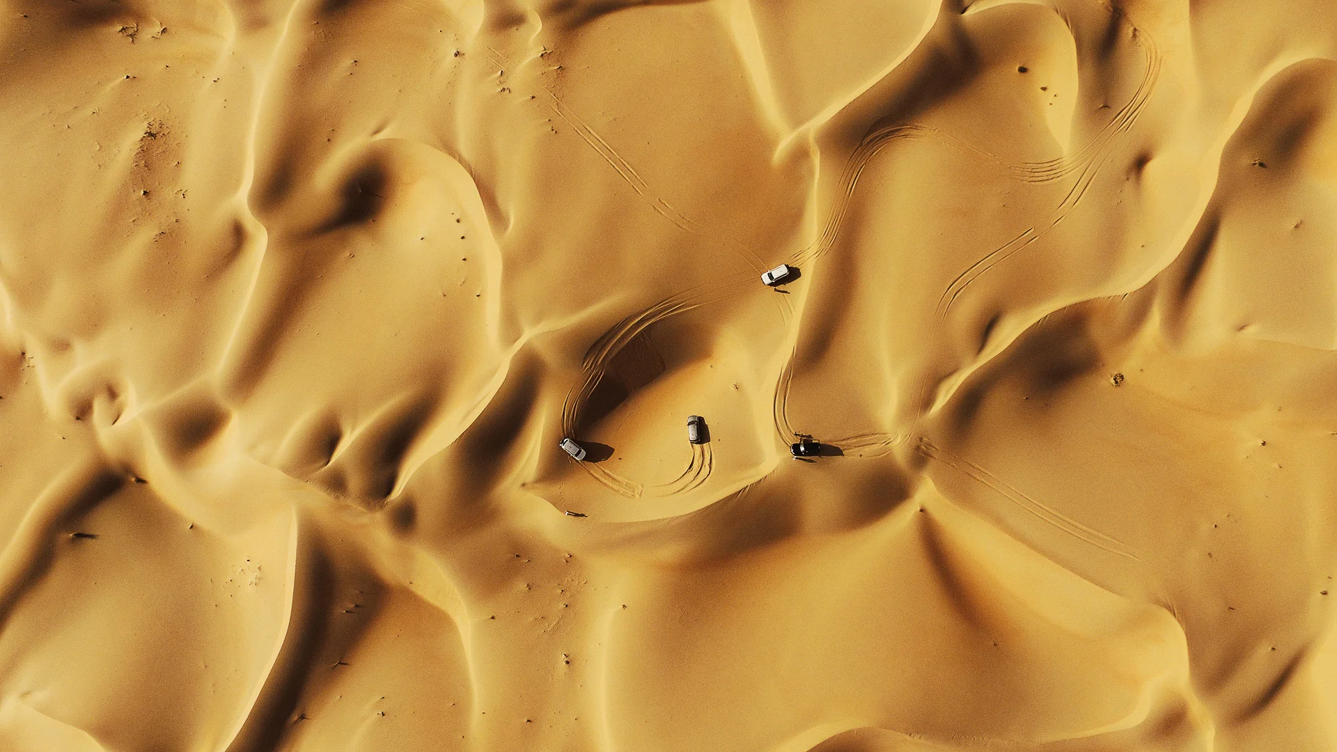 Auto photography by Andrejs Zavadskis - Photo 101