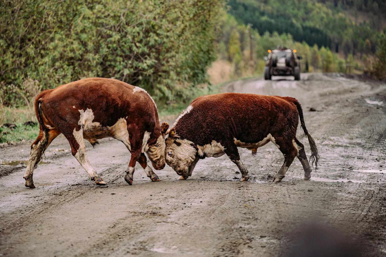 Travel photography by Andrejs Zavadskis - Photo 35