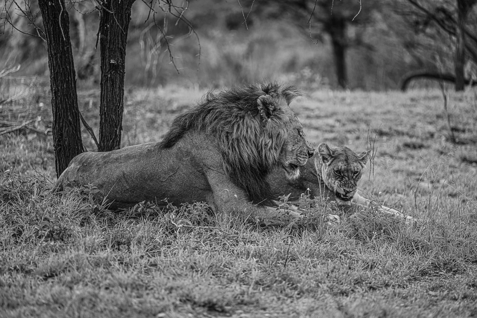 Travel photography by Andrejs Zavadskis - Photo 118