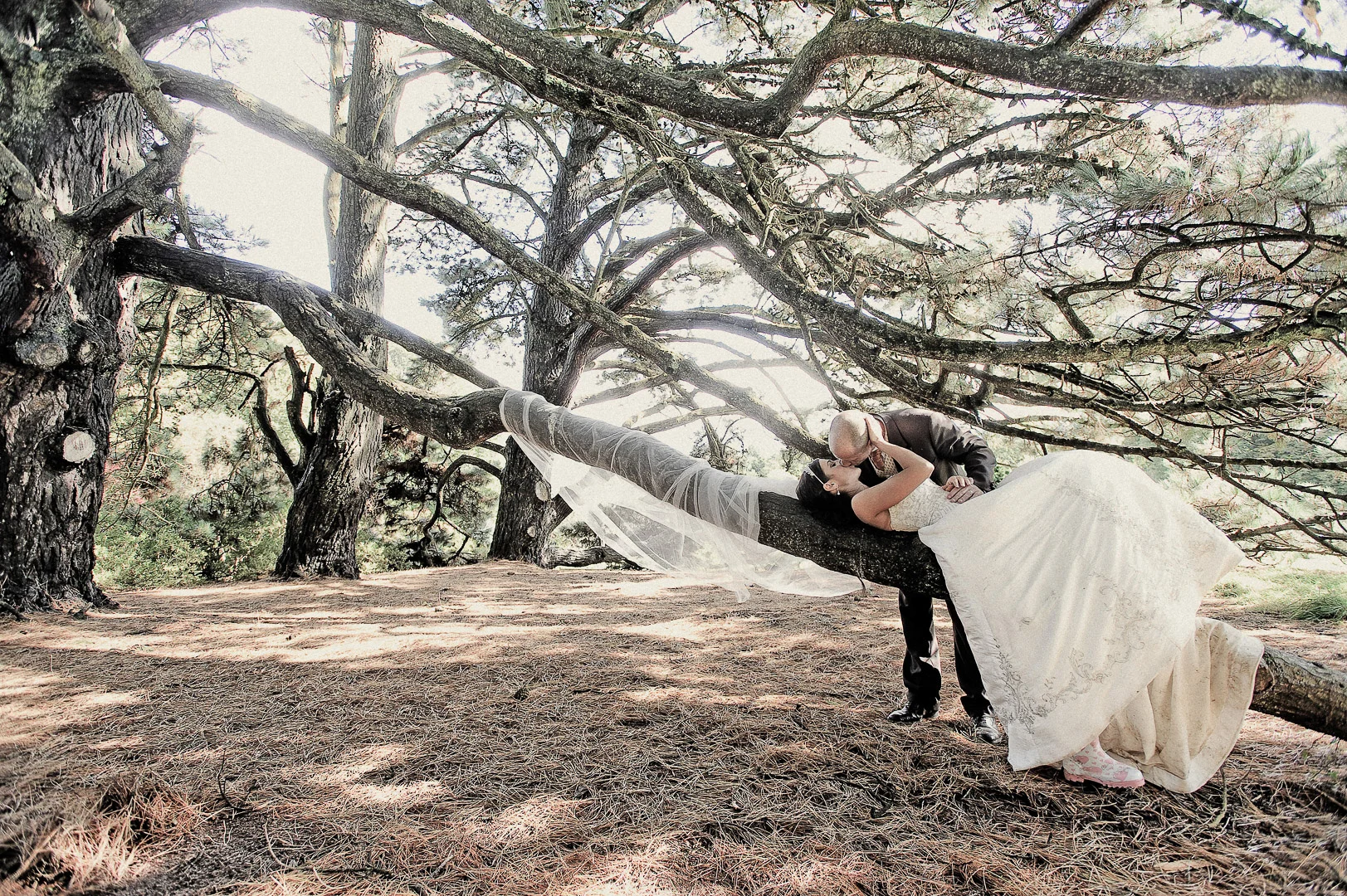 Wedding photography by Andrejs Zavadskis - Photo 28