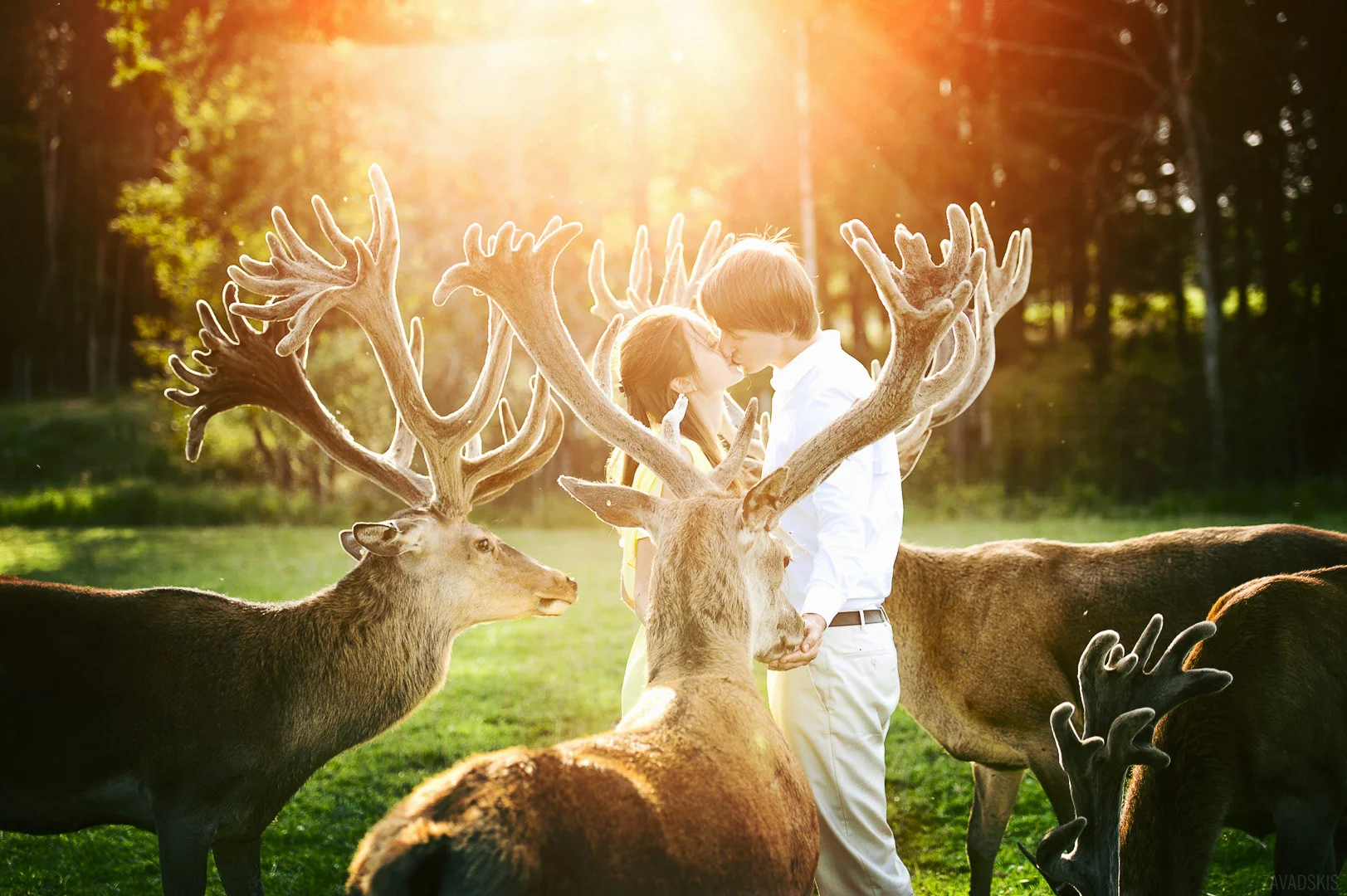 Wedding photography by Andrejs Zavadskis - Photo 104